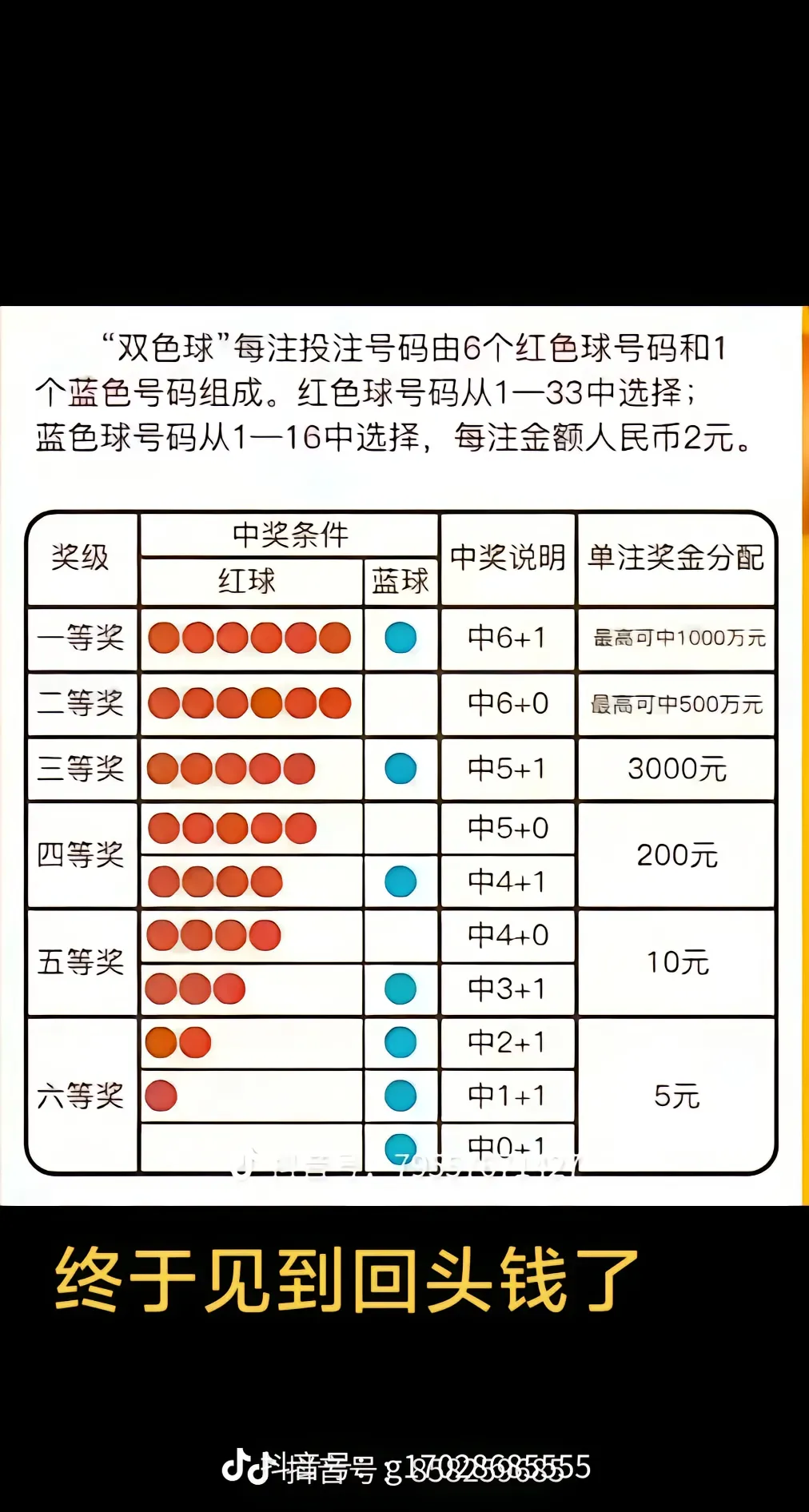 帖子详情